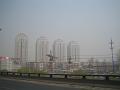 Peking (14)